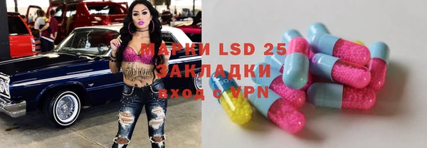 spice Елизово