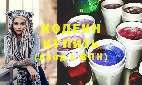 стафф Ельня