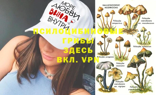 spice Елизово