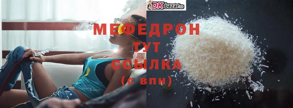 стафф Ельня
