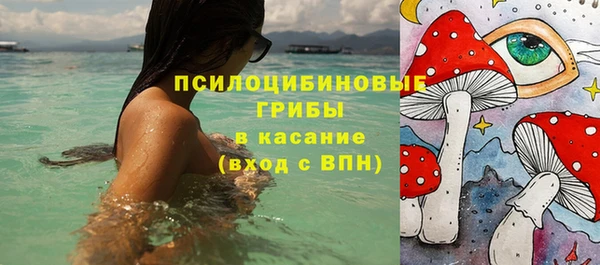 дживик Дмитров