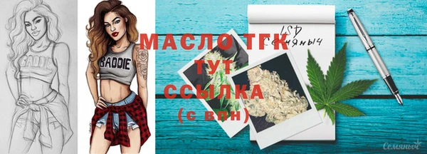 стафф Ельня