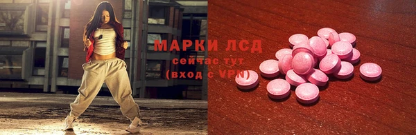 стафф Ельня
