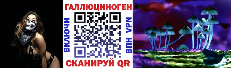 где найти   Гвардейск  Галлюциногенные грибы мухоморы 